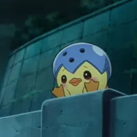 Pippo
