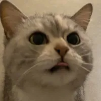 Aru