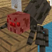 spider
