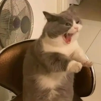 t/g cute hộc me❤️