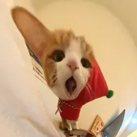 Reii
