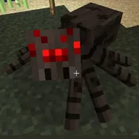 spaider