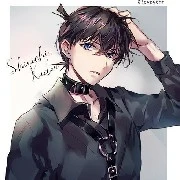 Shinichi kudoy