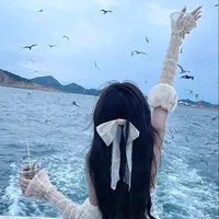 Võ Kim Tường Lâm#Cáo