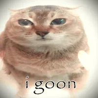 Kun