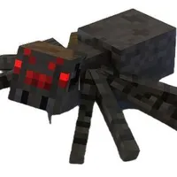 spider