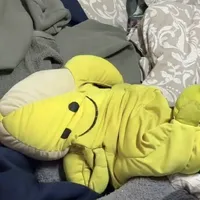 Sủi