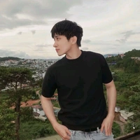 lê hồng sơn