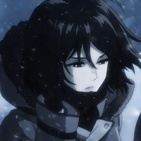 Mikasa Ackerman