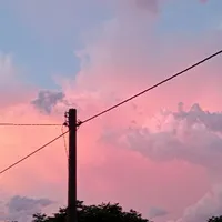 All
