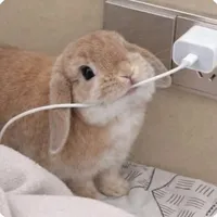 BonBon
