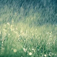 Zhin đến lúc nổi loạn..!?