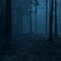???