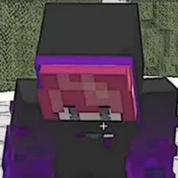 Hiha Endermen