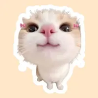 chipp cutiiiii