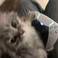 Fjeudbfbjaisnw