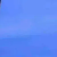 blue ( acc của t/g)