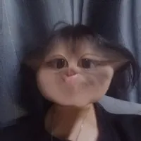 tg húi