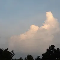 Who