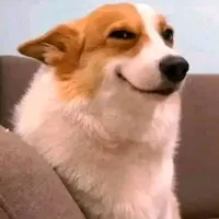 Cấn
