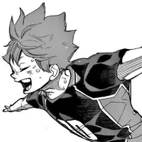 Hinata Shoyo