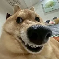 phụ