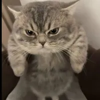 hiphop hơn zoii thúyyy