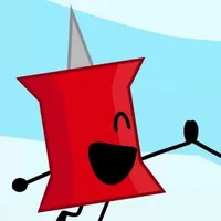 Pin
