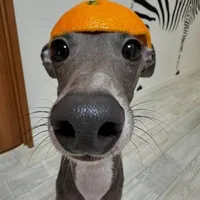 hệ thống_miu