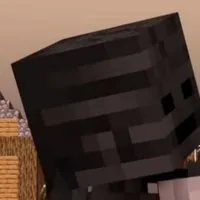 Wither skeleton[Anh Hai]