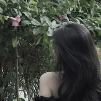 Thảo Linh