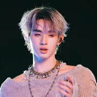 Hongshi