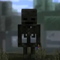 Wither skeleton [Anh Hai]