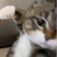 all