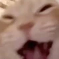 người nào đấy, idk