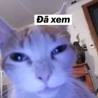 Người qua đường chưa nhớ tên