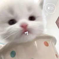 @emmetqua..