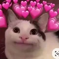 Tác giả ngáo ngơ