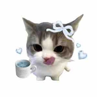 tg cuteo xí muội