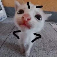 Tg đayy
