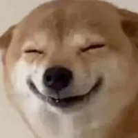 T/g uy tín vô cùng