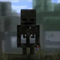 Wither skeleton [Ảnh Cả]