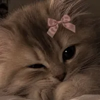 su nòoo