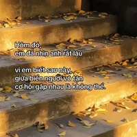 dịch nghĩa.