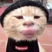 Cà rốt