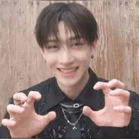 Christopher Bang Chan | 19t | 🐺
