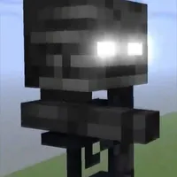 Wither Luxion[Anh Tư]