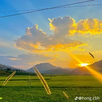 tác giả ngu văn