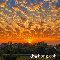 trừ all thì trừ