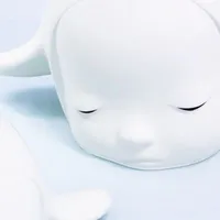 ncp